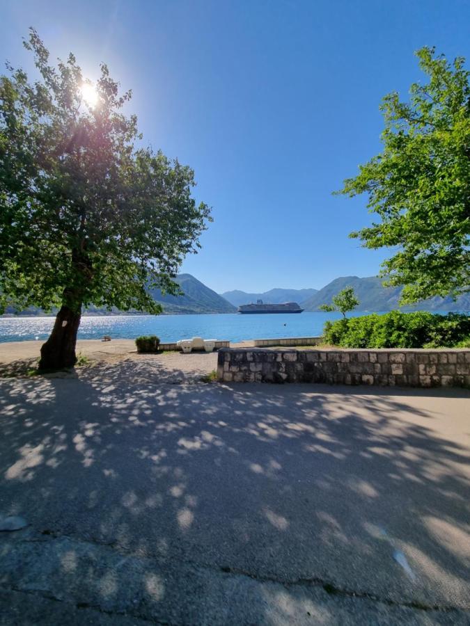 Studio On The Coast, With A View Of The Sunrise,Free We-Fi Kotor Exterior foto