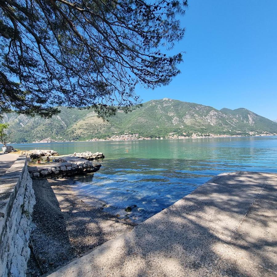 Studio On The Coast, With A View Of The Sunrise,Free We-Fi Kotor Exterior foto
